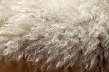 Wool. Background
