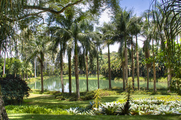 Lake in Inhotim, Minas Gerais, Brazil
