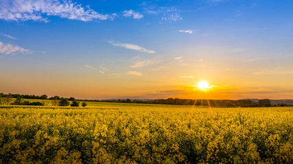 Obraz premium Country landscape