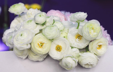 Obraz na płótnie Canvas White ranunculus and peony bouquet. Soft focus image , gently colors