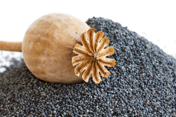 Detail of dried poppy seed pod resting on heap of seeds.