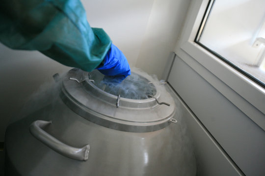 conservazione di molecole con azoto liquido