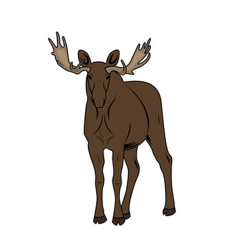 Vector Illustration of a Moose