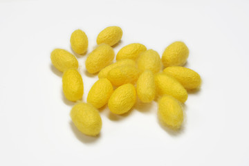 Thai silk cocoon