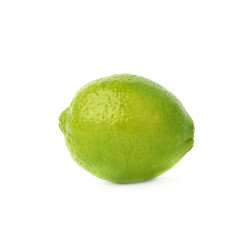 Lime fruit isolated over the white background
