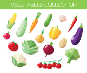 Set of vegetables icons. Flat style design.