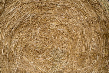 Straw bales