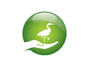 Obraz premium heron standing on top of palm of hand 