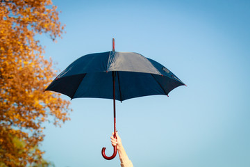 Umbrella in hand on blue background