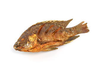 Fried Tilapia fish fried isolated on white background