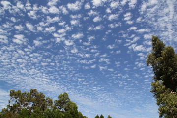 Obraz premium オーストラリア パース