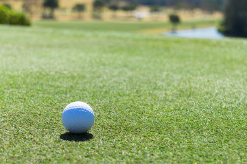 ゴルフ　グリーン
