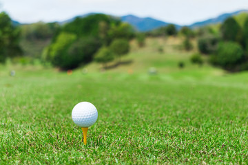 ゴルフ　ティーグラウンド