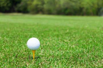 ゴルフ　ティーグラウンド
