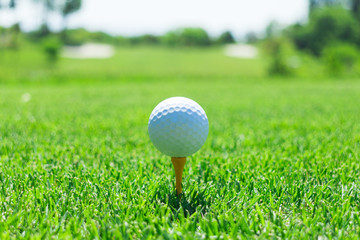 ゴルフ　ティーグラウンド