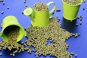 heap green beans dried