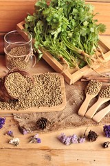 Dry coriander seeds and fresh coriander green.