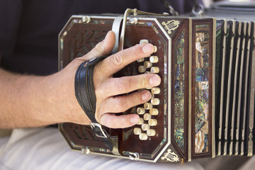 Man playing the bandoneon