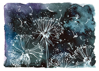 flying white dandelions on a black background/ watercolor illustration