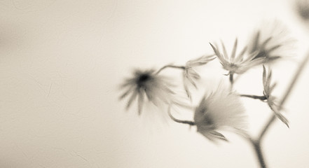 flowers in vintage color style on mulberry paper texture for background
