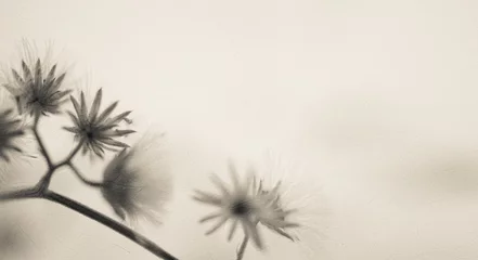 Blumen im Vintage-Farbstil auf Maulbeerpapierstruktur für den Hintergrund © number1411