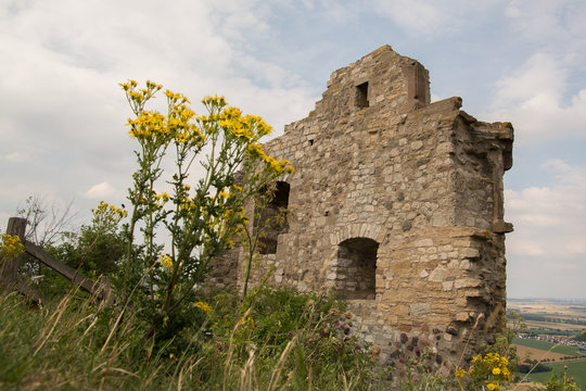 Der Desenberg mit Burgruine bei Warburg