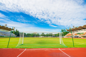 Football field with green grass at sunny day morning