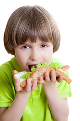 boy eats a sandwich with cheese and green salad