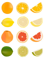 Citrus fruits - orange, lemon, grapefruit, lime
