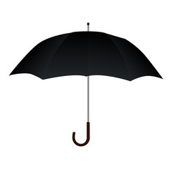Black umbrella 