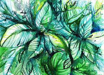 bundles of green leaves/ watercolor illustration