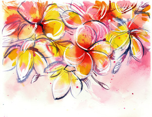 yellow rose bush frangipani on a white background/ plumeria/ watercolor painting - 88728426