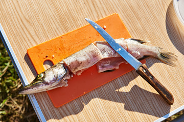 Pike on a cutting board