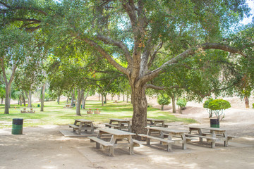 Picnic Table and Park