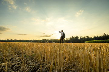 Businessman at the Field Looking Into the Distance - obrazy, fototapety, plakaty