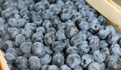 blueberries in the box