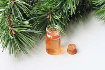 Pine fir twigs green fresh herbal extract bottle aromatherapy healthy organic oil soft focus - obrazy, fototapety, plakaty