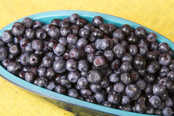 scattered blueberries
