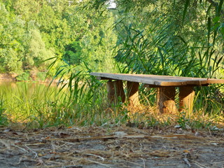 Bench in park, summer outdoor