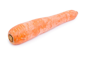 Fresh and sweet carrot