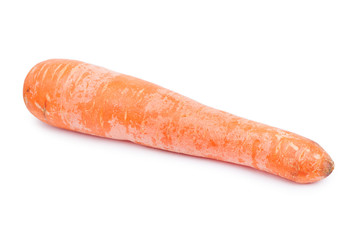 Fresh and sweet carrot