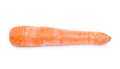 Fresh and sweet carrot