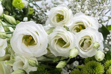 Close up of white roses