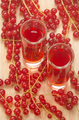 redcurrants liqueur in a small glass