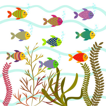 Colorful sea fishes. Underwater nature vector.