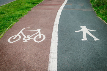 Bicycle and pedestrian sign painted on the road asphalt