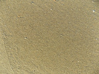 Sand texture