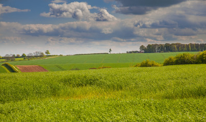 Green feilds in the lincolnshire wolds