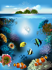 Fototapeta na wymiar The underwater world with fish and plants 