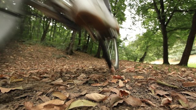 HD 1080 static: man riding mountain bicycle; low angle perspective